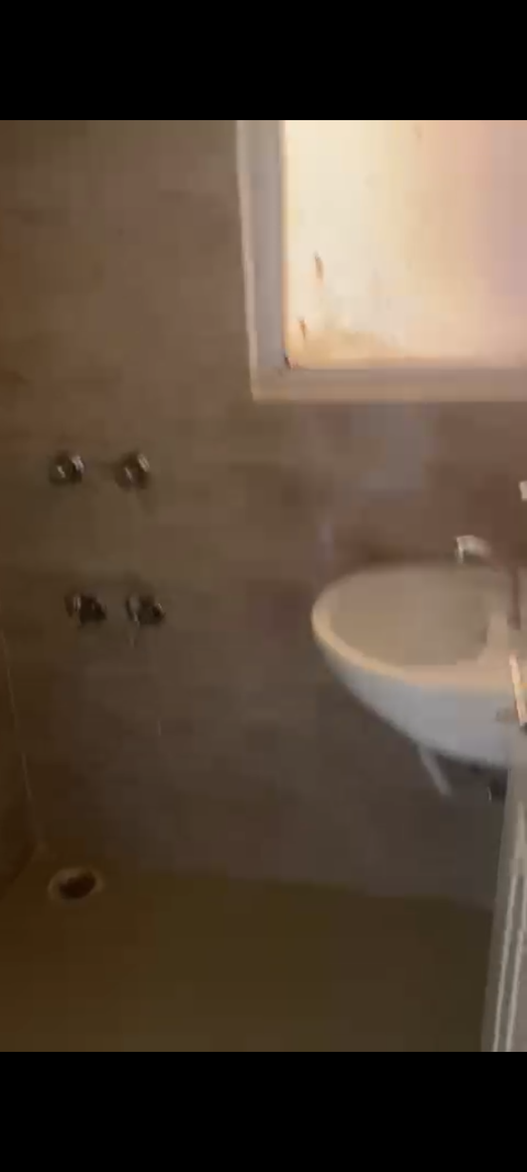 1 BHK Apartment For Rent in Wave Dream Homes