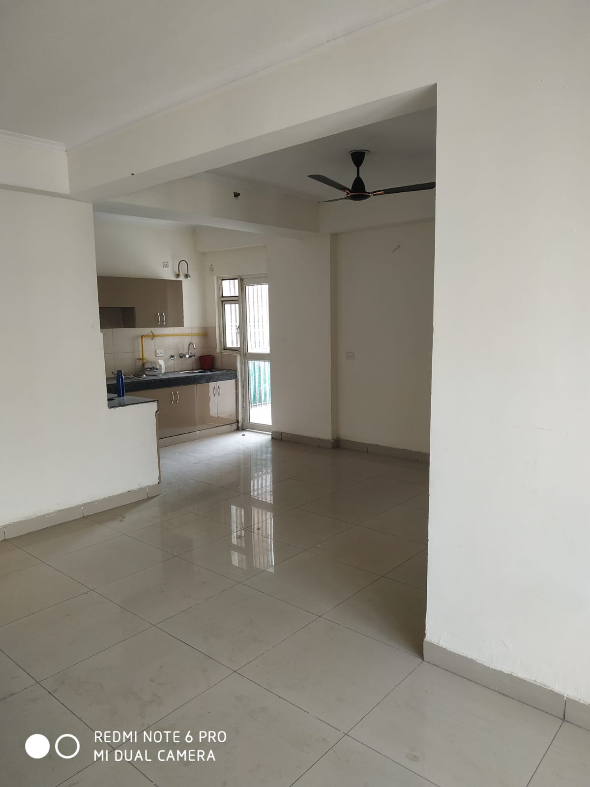 3 BHK Apartment For Rent in Panchsheel Greens
