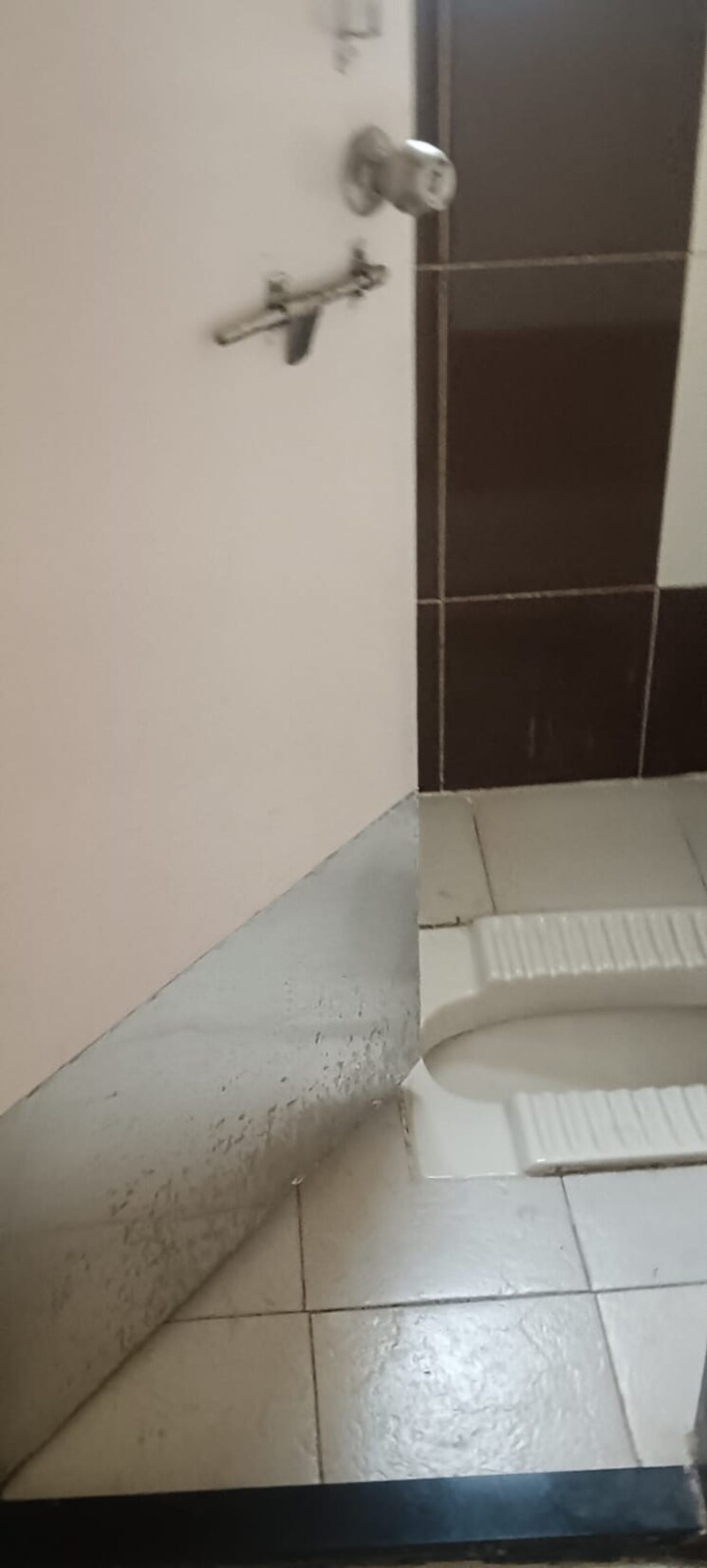 Bathroom, goel-ganga-amrut-ganga 2 Bedroom 900 Sq.Ft. Apartment In Sinhagad Pune 9289221