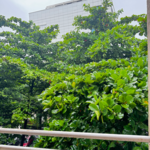 1 Rk  370 Sq.Ft. Apartment in Ganga Orchad Phase II