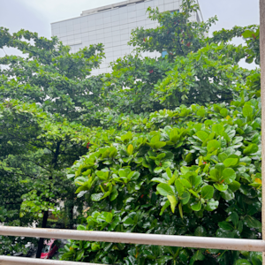 1 RK Apartment For Rent in Ganga Orchad Phase II, Mundhwa