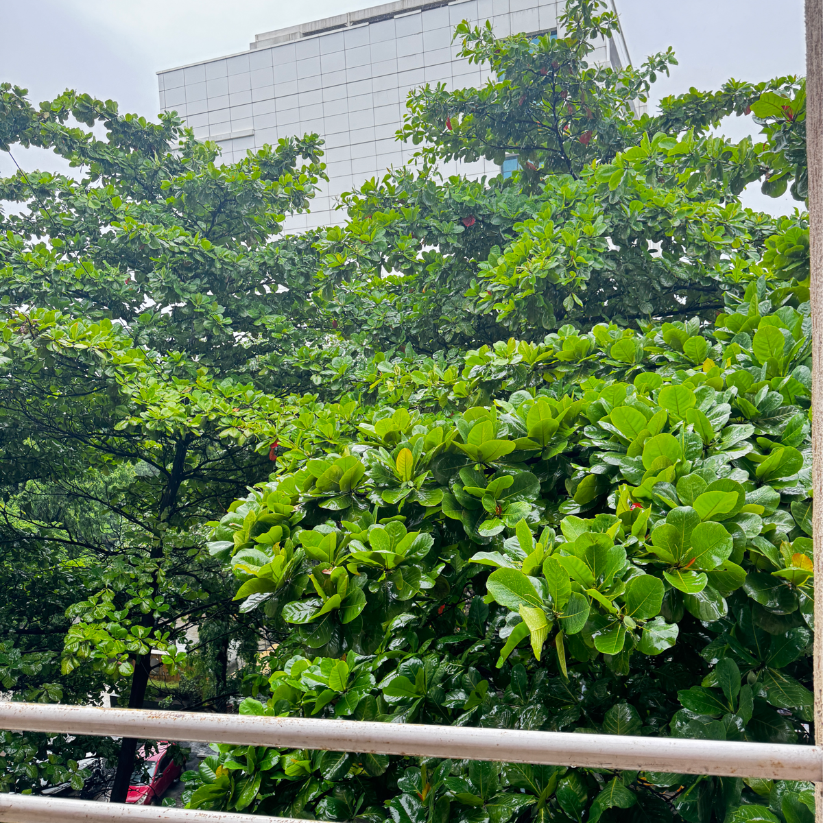 1 RkApartment For Rent in Ganga Orchad Phase II