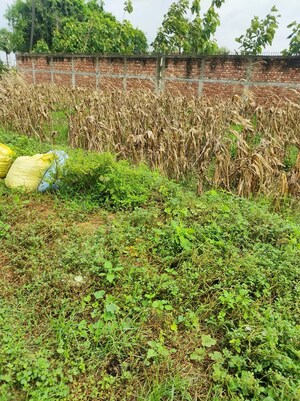 Plot Area in  Plot at Kondapur – for Sale