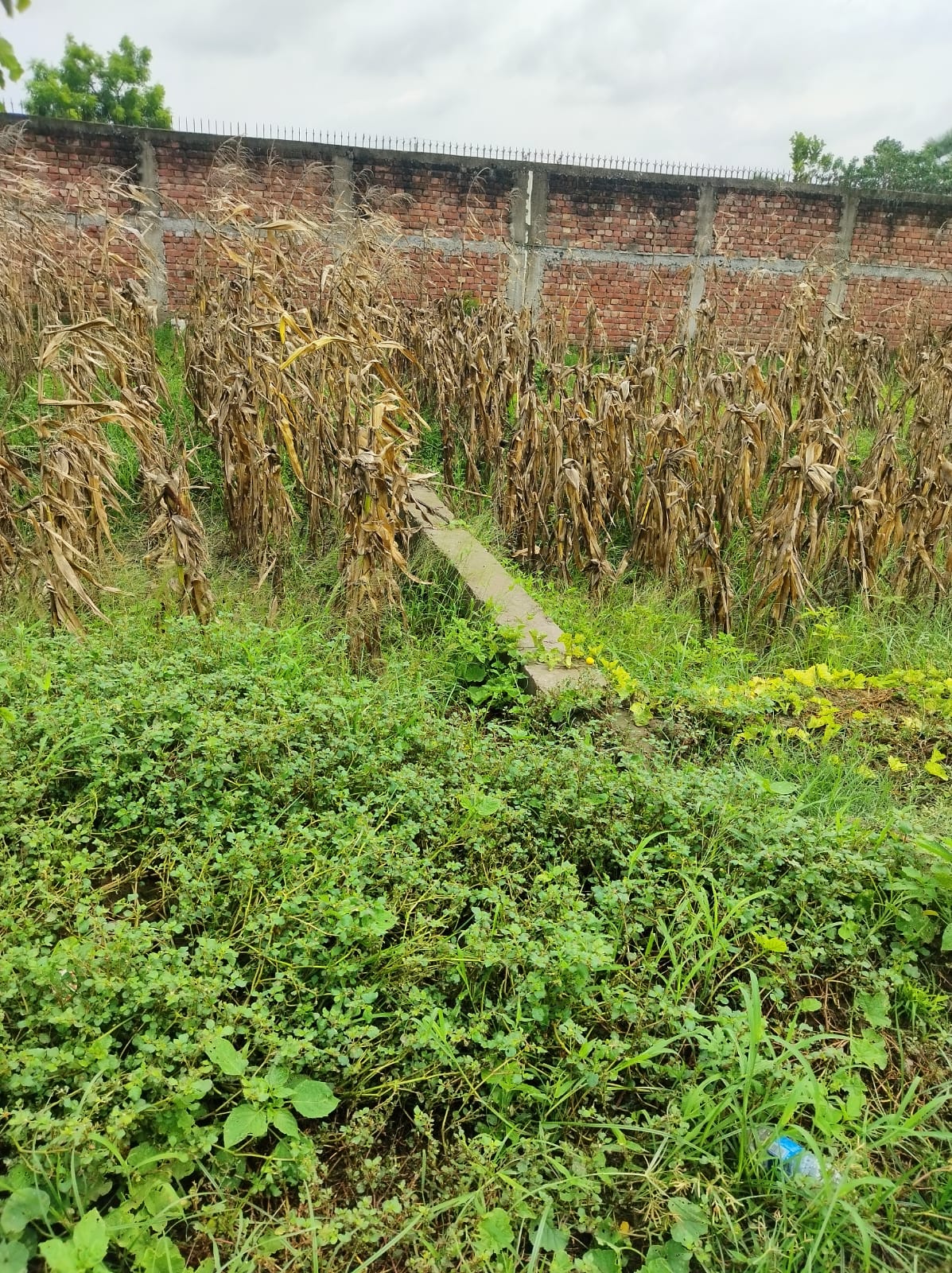 Plot For Sale in Kondapur