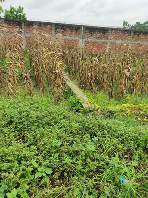  Plot For Sale in Kondapur