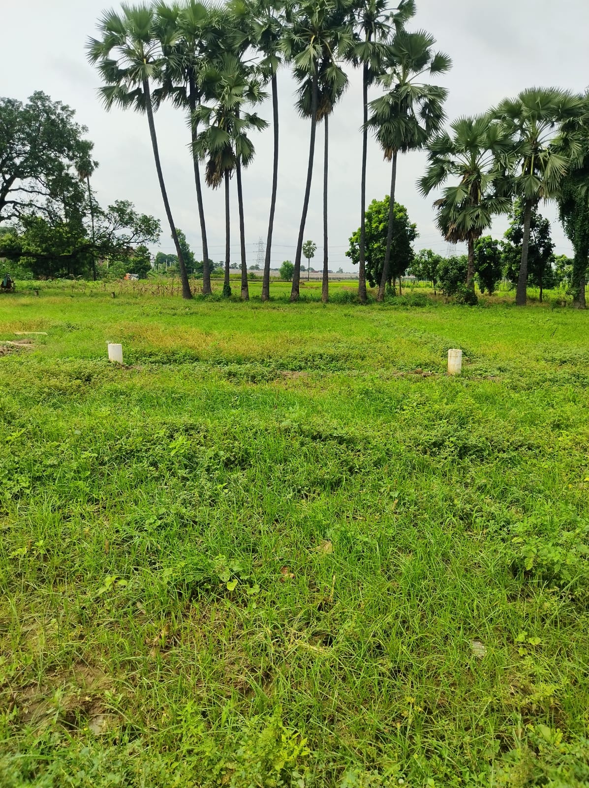 Plot For Sale in Kondapur