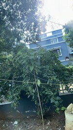 3.5 BHK + Pooja Room,Servant Room,Study Room,Extra Room 5600 Sq.Ft. Independent House in Laxmi Vihar PhasE-2