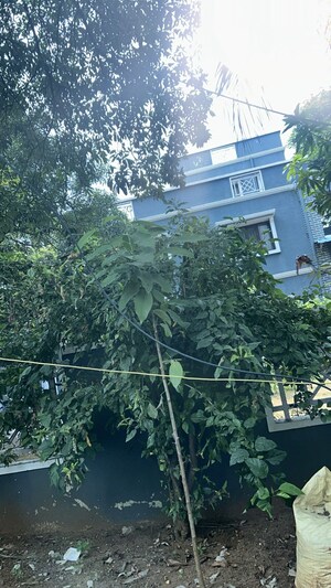 3.5 BHK Independent House For Sale in Nallagandla