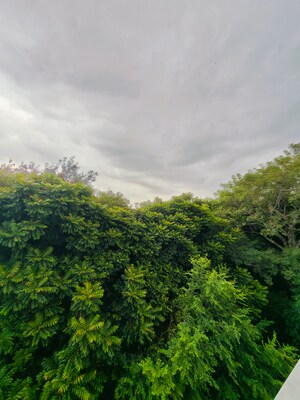 1 BHK Builder Floor – Garden View at Vipul Square, Sushant Lok I - for Rent