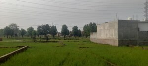Plot Area in  Plot at Gomti Nagar – for Sale