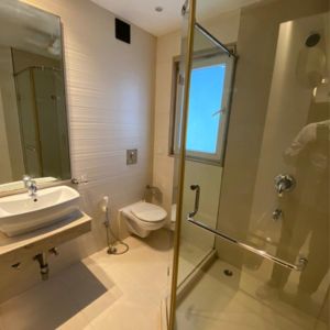 Team Area in 4 BHK Builder Floor at Saket – for Rent