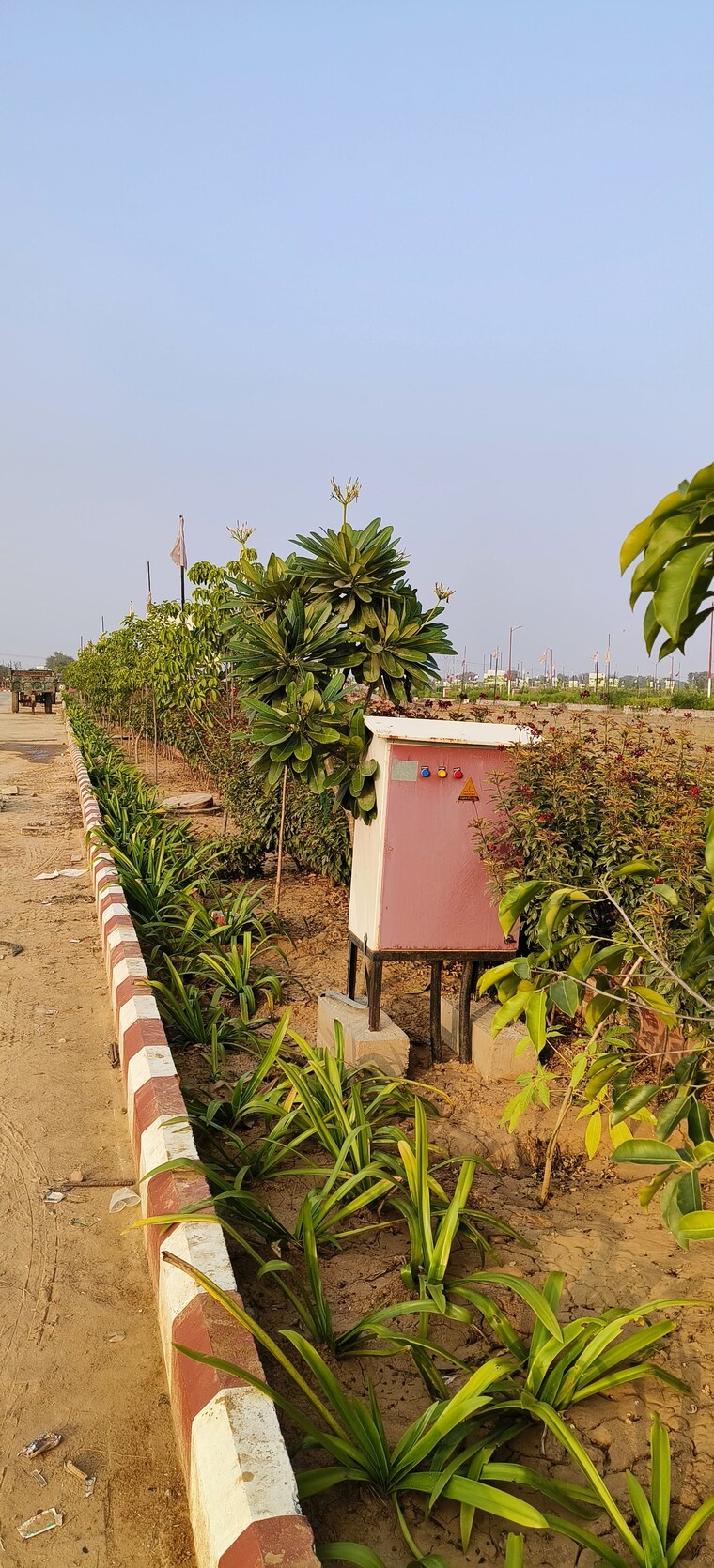 Garden, basri jogiyan  120 Sq.Yd. Plot In Basri Jogiyan Jaipur 9290318