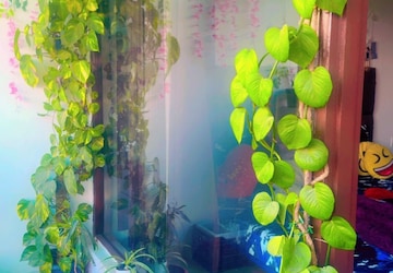 4 BHK Apartment at Pir Machalla – for Sale