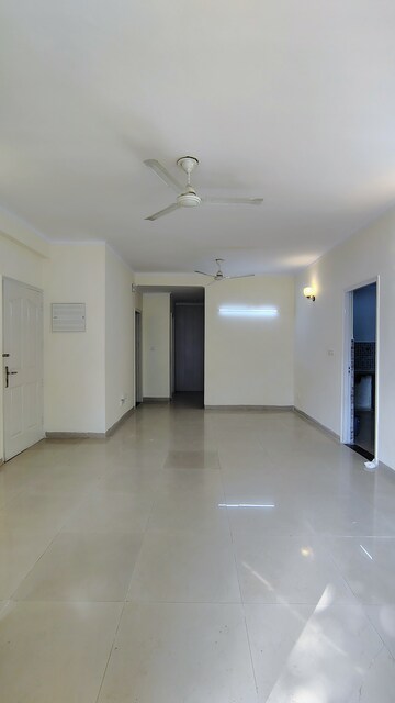 3 BHK Builder Floor For Rent in Ansal Florence Super, Sector 57
