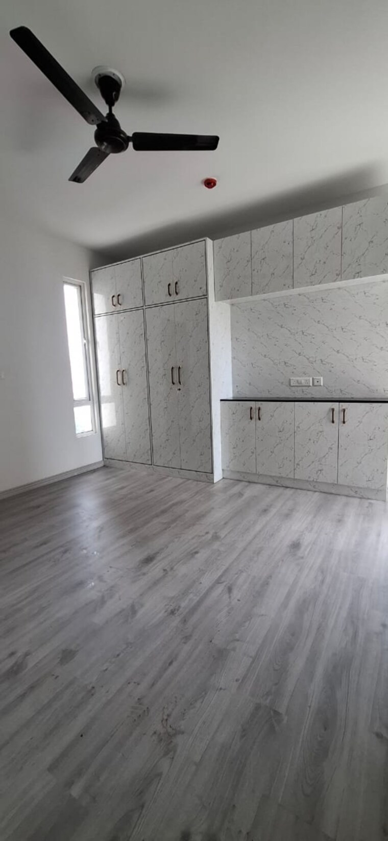 Room, priyadarshini vihar 3 Bedroom 1780 Sq.Ft. Builder Floor In Priyadarshini Vihar Delhi 9291623