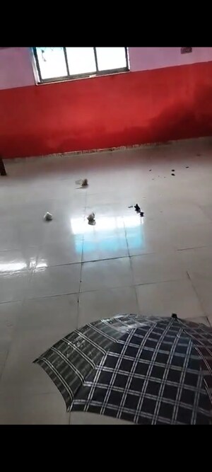 Floor Plan in  Warehouse at Mahul – for Rent