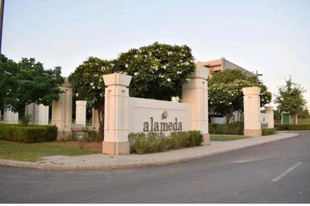 Plot For Sale in DLF Alameda