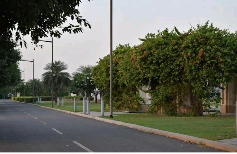 Garden, dlf-alameda  580 Sq.Yd. Plot In Sector 73 Gurgaon 9292058