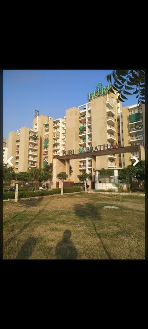 2 BHK Apartment For Rent in Puri Pratham, Sector 84