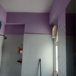 Bathroom in 2 BHK Apartment at Paras Seasons, Sector 168 – for Sale