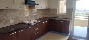 Kitchen in 4 BHK Apartment at Wave Amore, Sector 32 – for Rent