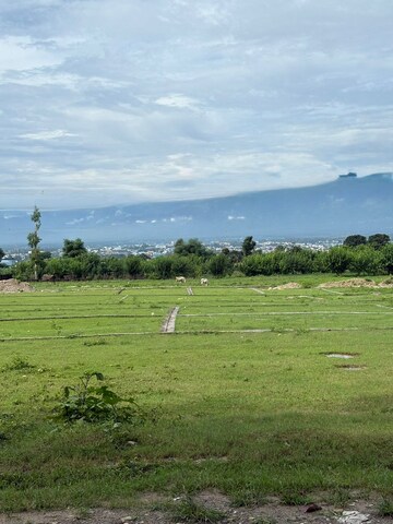 Plot Area in  Plot at Sherpur – for Sale