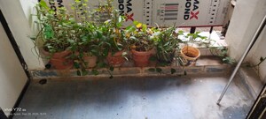 Master Plan in 2 BHK Apartment at Globe Heights, Goregaon East – for Sale