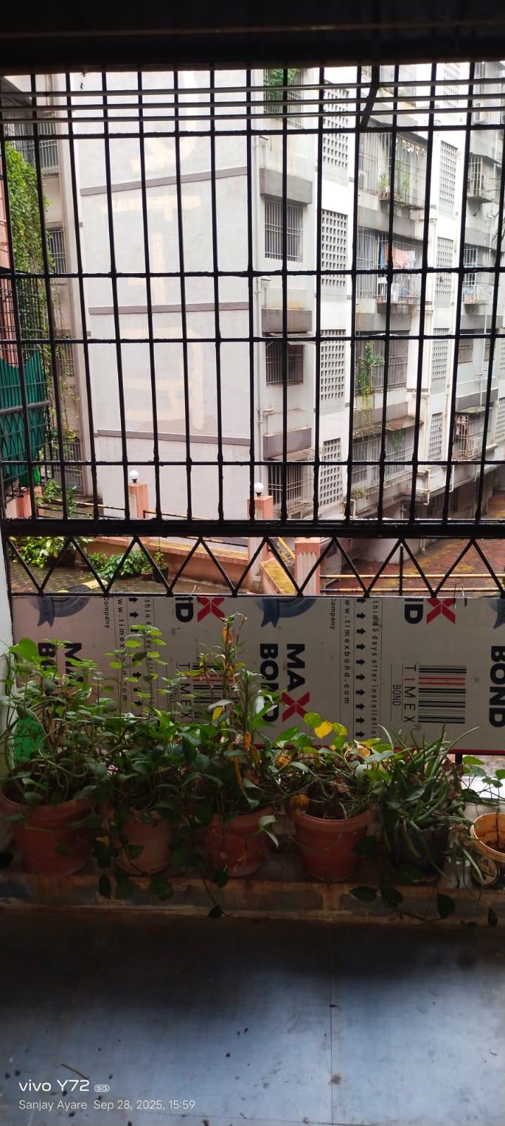 2 BHK Apartment For Rent in Globe Heights