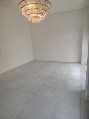 Living Room in 3 BHK Builder Floor at Green Park – for Rent