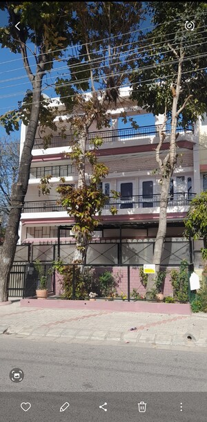 3 BHK Builder Floor For Rent in Sector 35