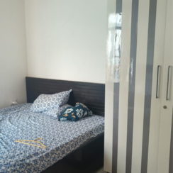 2.5 BHK Apartment For Sale in Signature Global Synera