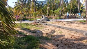 Plot Area in  Plot at Dindugal nh – for Sale