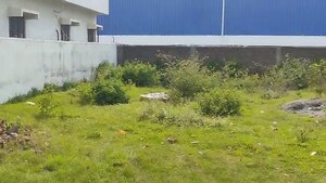 Plot Area in  Plot at Daladili – for Sale
