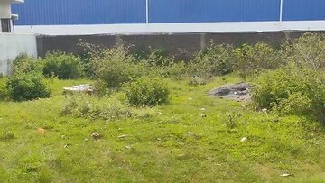 Plot Area in  Plot at Daladili – for Sale