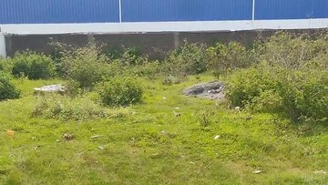 Plot Area in  Plot at Daladili – for Sale