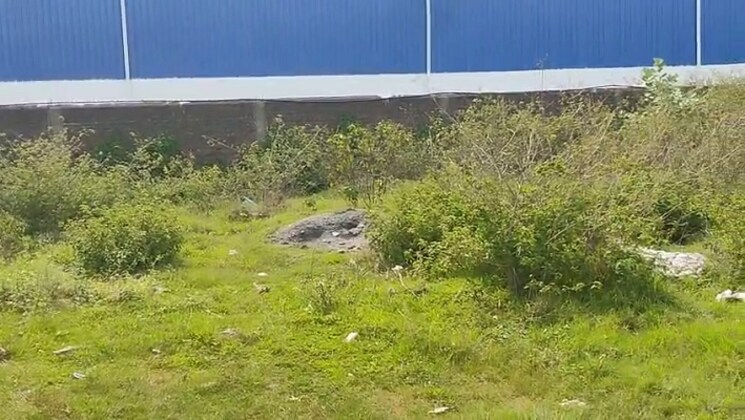 undefined, daladili  2178 Sq.Ft. Plot In Daladili Ranchi 9292452