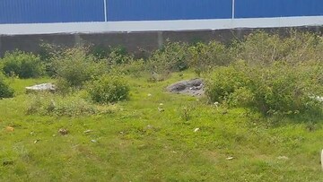 Plot Area in  Plot at Daladili – for Sale