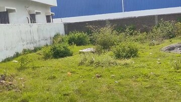 Plot Area in  Plot at Daladili – for Sale