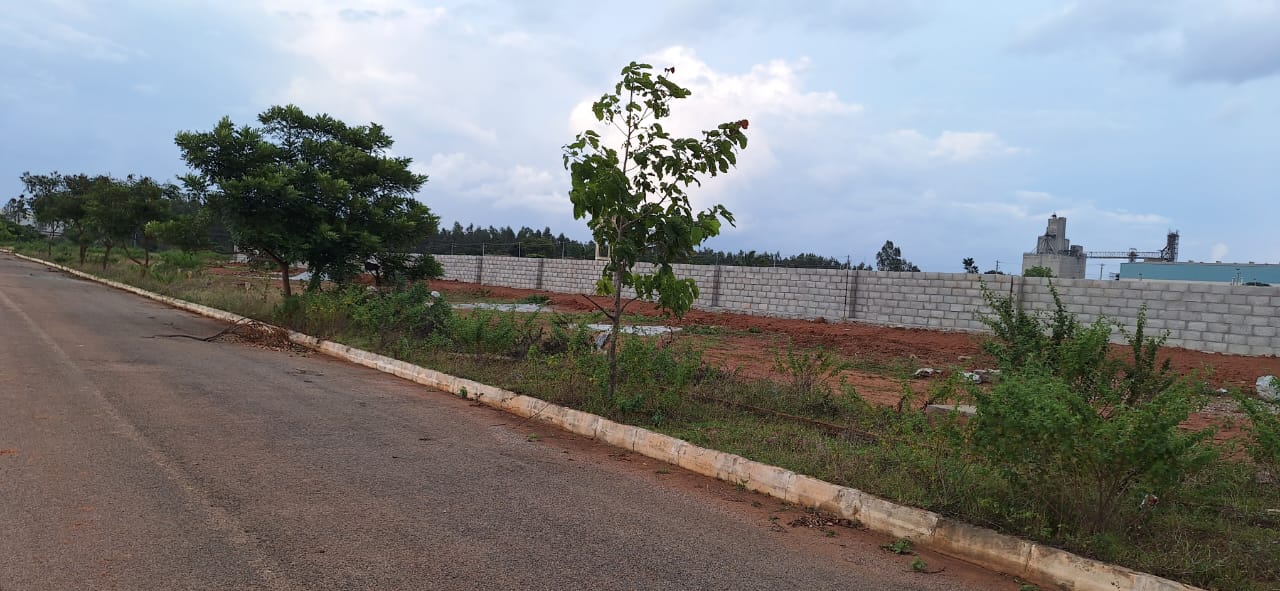 Plot For Sale in Hoskote
