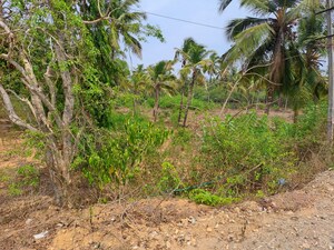  Plot For Sale in Kodibag