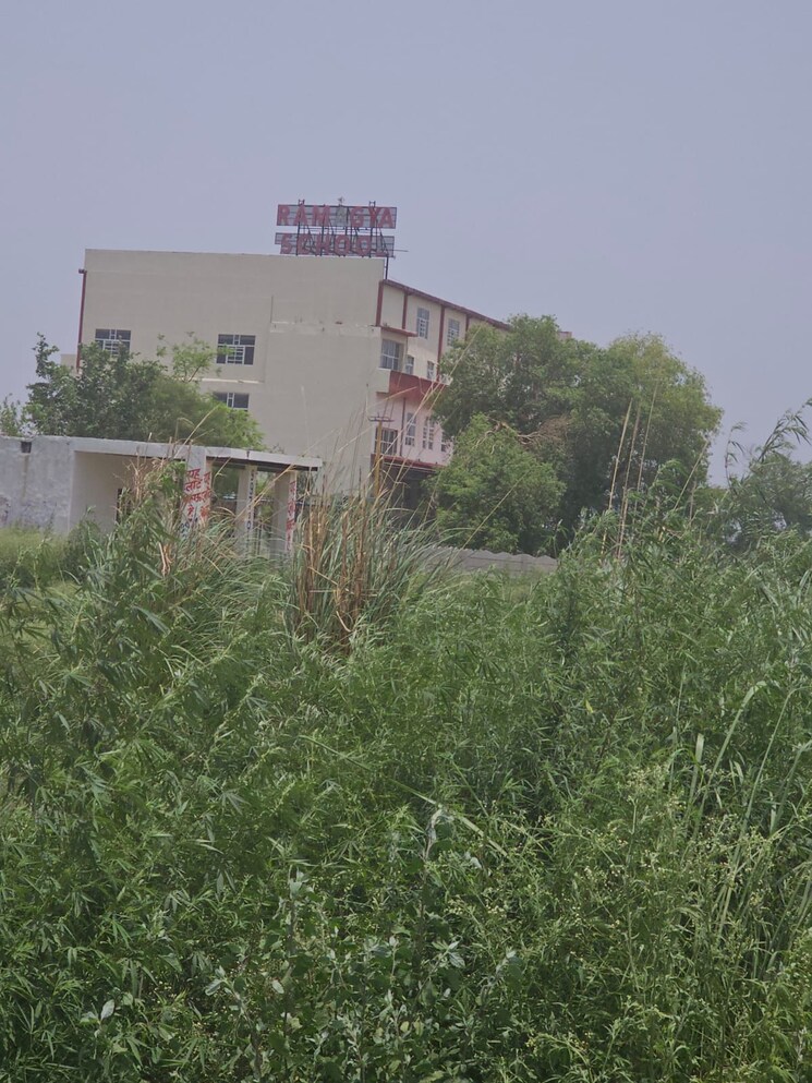 Garden, badhpura  135 Sq.Yd. Plot In Badhpura Greater Noida 9293380