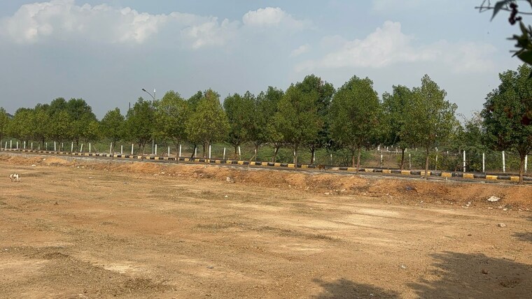 undefined, shadnagar  220 Sq.Yd. Plot In Shadnagar Hyderabad 9292905