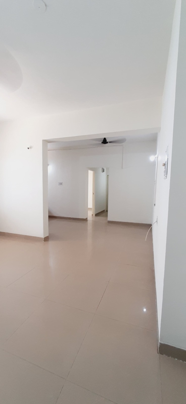 2 BHK Apartment For Rent in Kumar Primavera