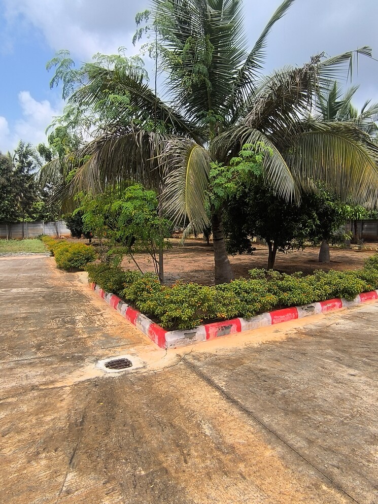 undefined, kanakapura road  5460 Sq.Ft. Plot In Kanakapura Road Bangalore 9293139