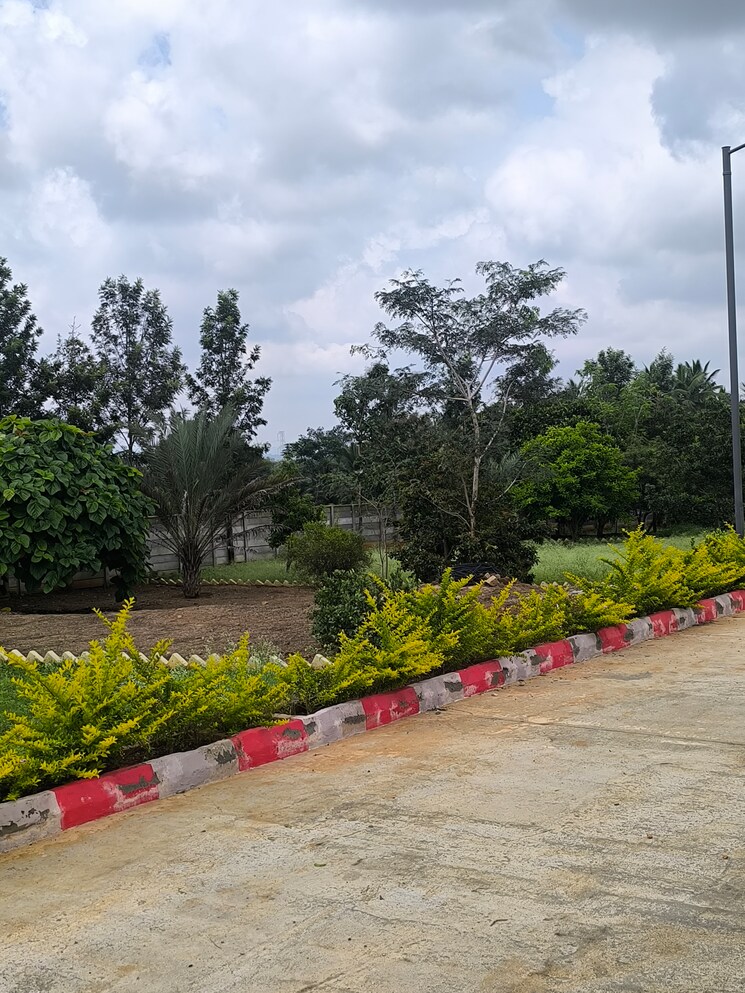Garden, kanakapura road  5460 Sq.Ft. Plot In Kanakapura Road Bangalore 9293139