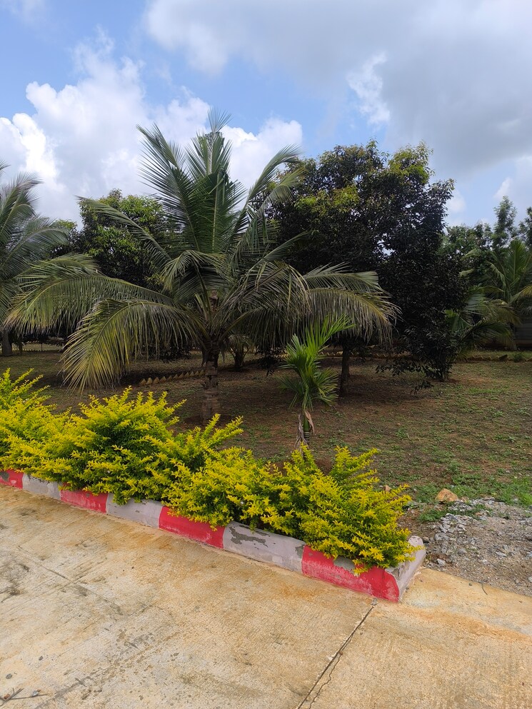 Garden, kanakapura road  5460 Sq.Ft. Plot In Kanakapura Road Bangalore 9293139