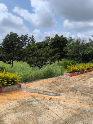 Plot Area in  Plot at Gadenahalli – for Sale