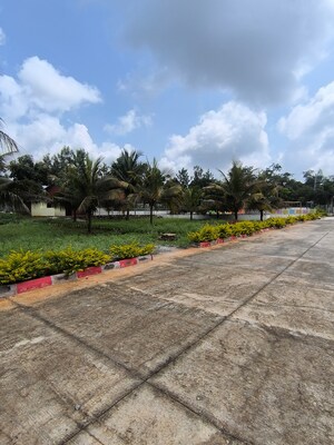 Plot Area in  Plot at Gadenahalli – for Sale