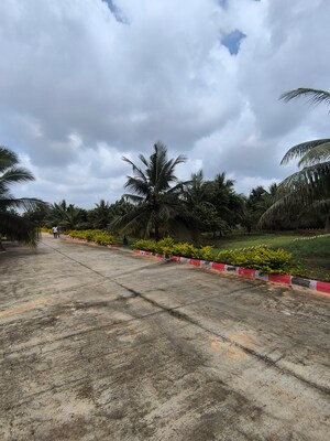  Plot – Exterior View View at Gadenahalli - for Sale