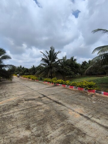  Plot – Exterior View View at Gadenahalli - for Sale
